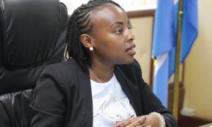 Orientation session on the IGRTC  mandate 